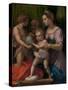 The Holy Family with the Young Saint John the Baptist, 1528-9-Andrea del Sarto-Stretched Canvas