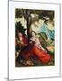The Holy Family-Hans Baldung Grien-Mounted Collectable Print