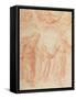 The Holy Family-Simone Cantarini-Framed Stretched Canvas