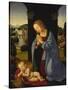 The Holy Family-Lorenzo di Credi-Stretched Canvas