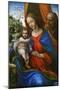 The Holy Family-Sodoma-Mounted Giclee Print