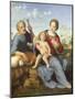 The Holy Family-Franciabigio-Mounted Giclee Print