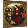 The Holy Family-Giovanni Antonio Bazzi-Mounted Giclee Print