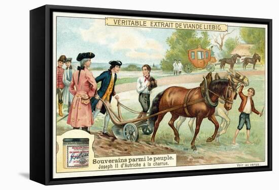 The Holy Roman Emperor Joseph II Ploughing-null-Framed Stretched Canvas