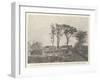 The Home of President Mckinley's Forefathers, Conagher, Near Ballymoney, Antrim-null-Framed Giclee Print