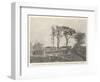 The Home of President Mckinley's Forefathers, Conagher, Near Ballymoney, Antrim-null-Framed Giclee Print