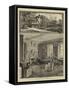 The Home of the Late Charles Darwin, Down, Kent-null-Framed Stretched Canvas