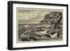 The Home of the Paille En Queue (Phaeton Aetherius)-null-Framed Giclee Print