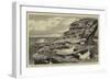 The Home of the Paille En Queue (Phaeton Aetherius)-null-Framed Giclee Print