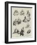 The Home Rule Debate in the House of Commons-Charles Paul Renouard-Framed Giclee Print