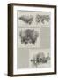 The Home Rule Debate, Sketches at the House of Commons on Thursday, 8 April-null-Framed Giclee Print