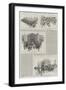 The Home Rule Debate, Sketches at the House of Commons on Thursday, 8 April-null-Framed Giclee Print