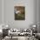 The Homestead, Hot Springs, Virginia, USA-Charles Gurche-Photographic Print displayed on a wall