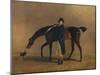 The Hon. Peniston Lamb with His Horse Assassin, 1929-Benjamin Marshall-Mounted Giclee Print