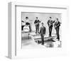 The Honeycombs-null-Framed Photo