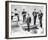 The Honeycombs-null-Framed Photo