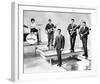 The Honeycombs-null-Framed Photo