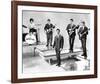 The Honeycombs-null-Framed Photo