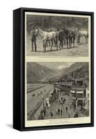 The Hong Kong Derby-null-Framed Stretched Canvas