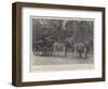 The Honourable Walter Rothschild-null-Framed Premium Giclee Print