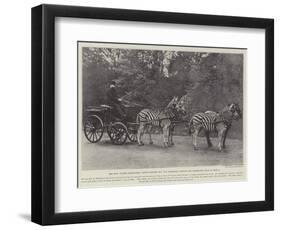 The Honourable Walter Rothschild-null-Framed Premium Giclee Print