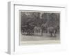 The Honourable Walter Rothschild-null-Framed Premium Giclee Print