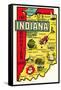 The Hoosier State Map-null-Framed Stretched Canvas