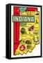 The Hoosier State Map-null-Framed Stretched Canvas