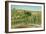 The Hop Garden-Cecil Gordon Lawson-Framed Giclee Print