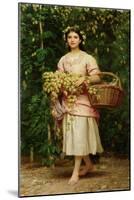 The Hop Picker-Perugini-Mounted Giclee Print