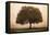 The Hopeful Oak-Debra Van Swearingen-Framed Stretched Canvas