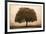 The Hopeful Oak-Debra Van Swearingen-Framed Art Print