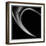 The Horn-Gilbert Claes-Framed Photographic Print