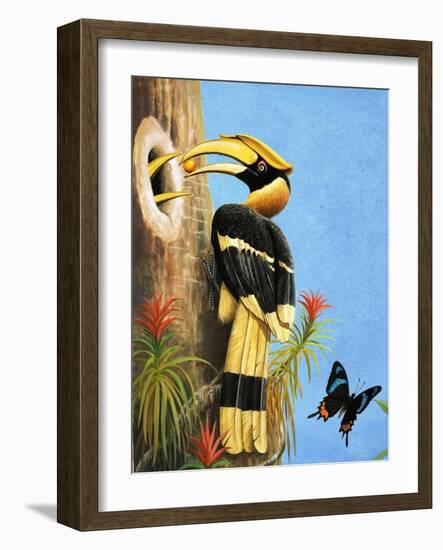 The Hornbill-R.B. Davis-Framed Giclee Print