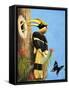 The Hornbill-R.B. Davis-Framed Stretched Canvas