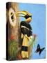 The Hornbill-R.B. Davis-Stretched Canvas