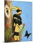 The Hornbill-R.B. Davis-Mounted Giclee Print