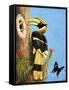 The Hornbill-R.B. Davis-Framed Stretched Canvas