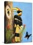 The Hornbill-R.B. Davis-Stretched Canvas