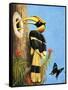 The Hornbill-R.B. Davis-Framed Stretched Canvas