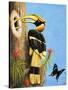 The Hornbill-R.B. Davis-Stretched Canvas