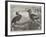 The Hornbills, in the Garden of the Zoological Society, Regent's Park-null-Framed Giclee Print