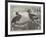 The Hornbills, in the Garden of the Zoological Society, Regent's Park-null-Framed Giclee Print