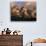 The Horns at Sunrise, Torres del Paine National Park, Patagonia, Chile-Jerry Ginsberg-Photographic Print displayed on a wall