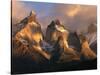 The Horns at Sunrise, Torres del Paine National Park, Patagonia, Chile-Jerry Ginsberg-Stretched Canvas