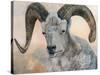 The Horns Have It II-Kathy Winkler-Stretched Canvas