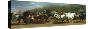 The Horse Fair, 1852-55-Rosa Bonheur-Stretched Canvas