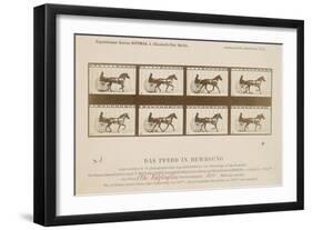 The Horse in Motion', 1878-Eadweard Muybridge-Framed Giclee Print