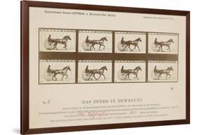 The Horse in Motion', 1878-Eadweard Muybridge-Framed Giclee Print