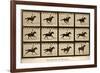 The Horse in Motion, 'Animal Locomotion' Series, C.1878-Eadweard Muybridge-Framed Giclee Print